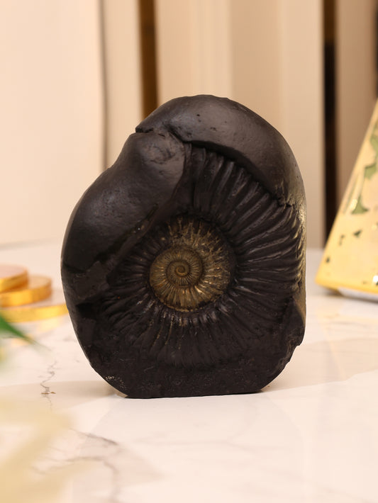 Narashima deity in Natural Shaligram