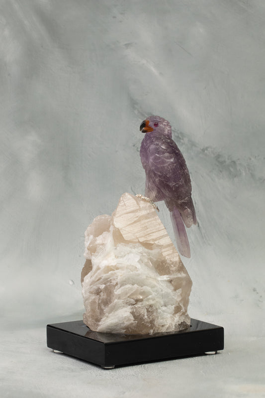 Natural Amethyst bird on Tourmaline base