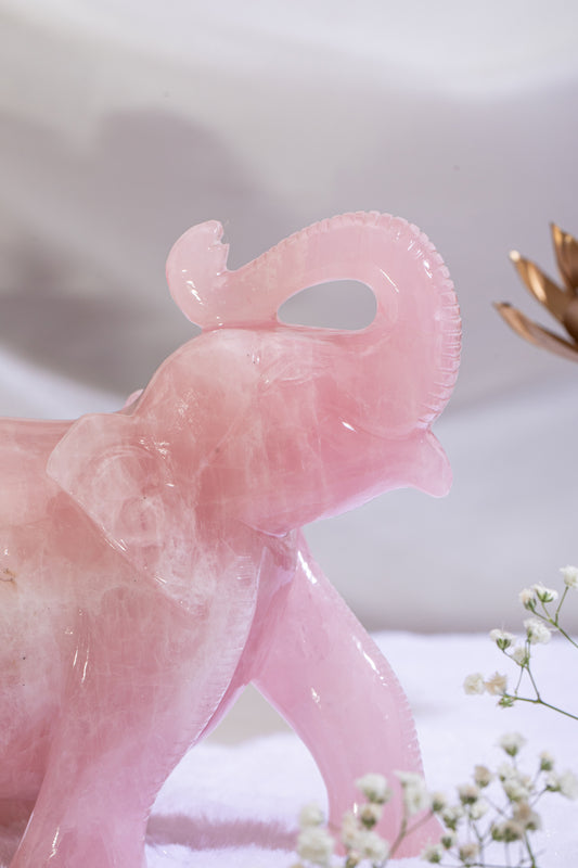 Rose quartz Elephant 