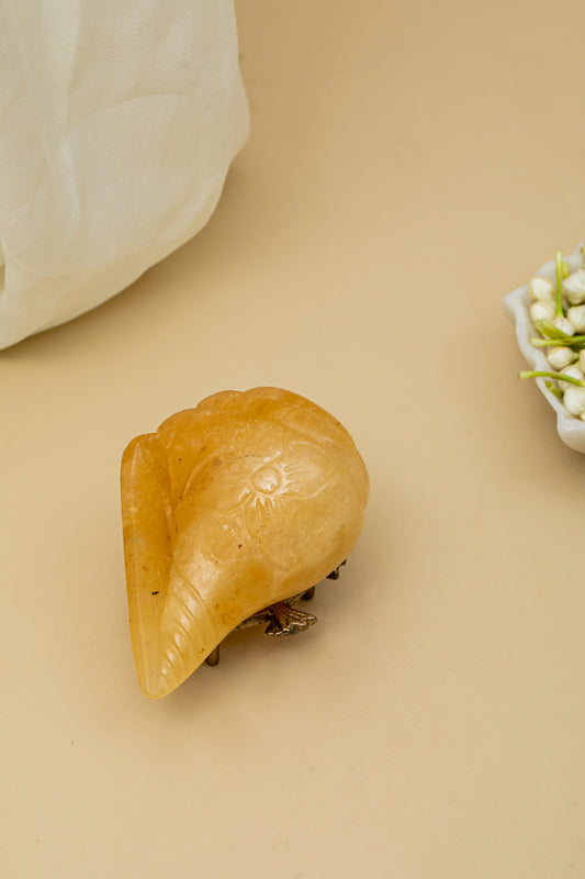 Yellow Quartz Conch