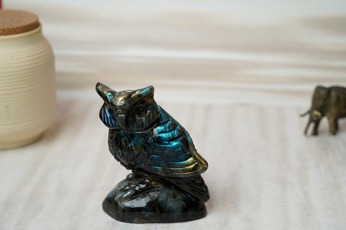 Owl Home Decor